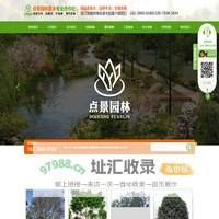 临澧县点景园林苗木专业合作社_临澧点景园林苗木|点景园林苗木|点景树