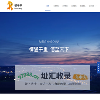 兔子王集团