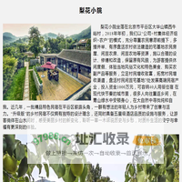 随心小筑
