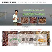蒙城精源龙虾养殖基地【官网】（蒙城县精源家庭农场有限公司） 蒙城龙虾养殖 亳州龙虾养殖  安徽龙虾养殖  利辛龙虾养殖 蚌埠龙虾养殖  皖北龙虾养殖_蒙城龙虾养殖 亳州龙虾养殖  安徽龙虾养殖  利辛龙虾养殖 蚌埠龙虾养殖  皖北龙虾养殖