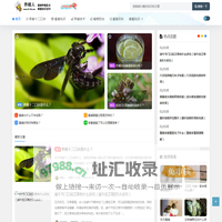 养蜂人 - 养蜂十二口诀_养蜂知识和技术