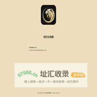 翅豹加速器