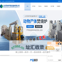 农村生活垃圾焚烧炉-小型医疗垃圾焚烧炉-山东凤林环保设备有限公司