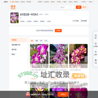 首页-全球蓝血超一线石斛兰-淘宝网