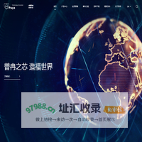 普冉半导体(上海)股份有限公司