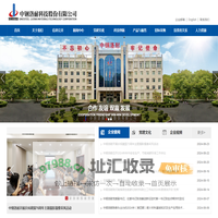中钢洛耐科技股份有限公司_洛耐