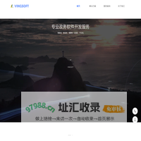 胜利科技-政务领域专业服务企业