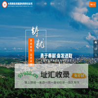 大西南投资集团有限责任公司-大西南投资集团,煤炭开采与销售,矿山机电设备销售,金融投资