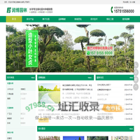 绿化苗木_园林绿化_苗木价格_苗木种子_宿迁润博绿化有限公司