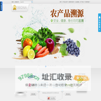 99DNA国家物联网公共平台