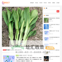 学识天下 - 网站首页
