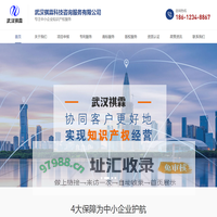 湖北省专精特新政策 - 武汉专精特新企业申报 - 武汉祺霖科技咨询服务有限公司
