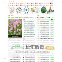 神网绽现天下合壹  ---  服务业