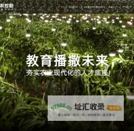 丰农控股 - “助力乡村振兴 全产业链现代农业服务集团”