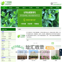 绿化苗木_园林绿化_苗木报价 - 沭阳县广汉园林苗木场