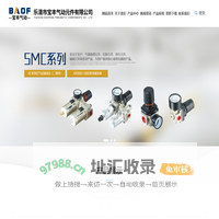 乐清市宝丰气动元件有限公司