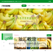 个旧市蔓耗镇牛棚芒果香蕉种植基地