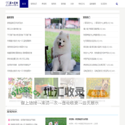 宠物知识_宠物市场_宠物狗_第一宠物网
