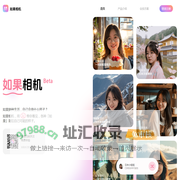 如果相机