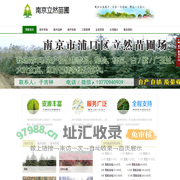 雪松_雪松价格_南京雪松_红叶石楠球价格-南京立然苗圃场