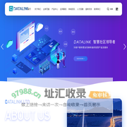 首页 - DATALINK - 达岭大数据