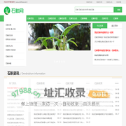 中国石斛网 - 霍山石斛_铁皮石斛_石斛的价格_石斛多少钱一斤_石斛的功效和作用