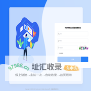 天一流量管理系统