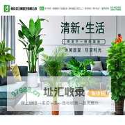 南京绿植物租赁-南京花卉租赁-南京盆景租摆-办公室绿植租摆-南京鸿之景园艺有限公司-南京鸿之景园艺有限公司