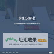 核桃互动科技