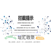 YG Dns解析系统