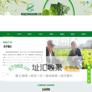 青岛胶研种苗有限公司,白菜种子,快菜种子,青梗菜种子,萝卜种子