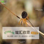 宁馨
