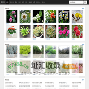 花卉_花卉绿植_花卉大全-爱花网
