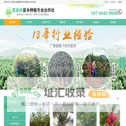北川羌族自治县夏禹林苗木种植专业合作社