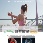 上海铼锶信息技术有限公司
