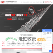 钢丝绳探伤仪-钢丝绳检测仪-钢丝绳探伤设备-洛阳泰斯特探伤技术有限公司