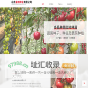 西红柿种苗_辣椒种苗-山东盛地种业有限公司