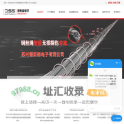 钢丝绳探伤仪-探伤仪-苏州德斯森电子有限公司