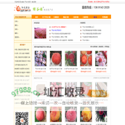 阳光绿谷-平谷大桃
