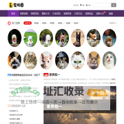 宠物吧 - 专注于宠物猫咪美容护理宠物狗狗训练教程