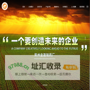 常州金晟制药厂--敏乐啶、米诺地尔|来氟米特|右旋泛酸钠|吡罗昔康、炎痛喜康|敏乐啶硫酸盐、米诺地尔硫酸盐