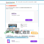 chrome浏览器,chrome插件,谷歌浏览器下载,谈笑有鸿儒