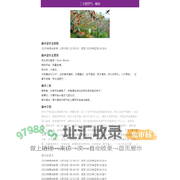 节气网