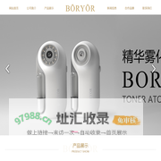 BORYOR--苏州工业园区博友智能科技有限公司