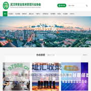 武汉市安全技术防范行业协会