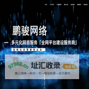 鹏骏网络