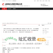 上海市电力公司闵行供电分公司：电力供应