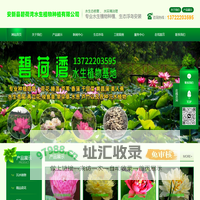 安新县碧荷湾水生植物种植有限公司