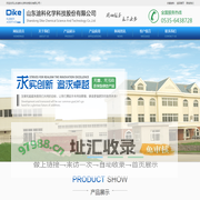 山东迪科化学科技股份有限公司