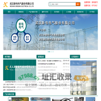 武汉新电电气股份有限公司